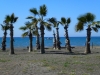 Palmenstrand