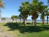 Strand mit Palmen