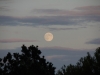 Vollmond