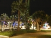 Palmenpracht by night