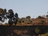Rundum Torre