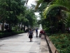 Paseo Larios