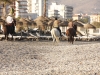 Reiten am Strand